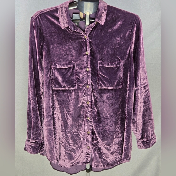 Anthrpologie Pilcro Velvet Relaxed Fit Whimsigoth Button Up, 1X - Picture 2 of 5